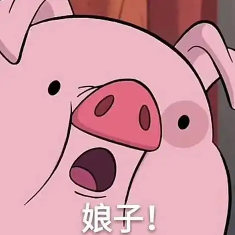 这个猪猪头像有相似的嘛