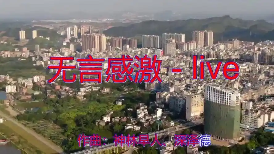 谭咏麟的一首《无言感激 - live》,听得心潮澎湃