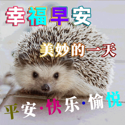 朋友们早上好祝福语图片合集 早上好新版漂亮的表情包_手机搜狐网