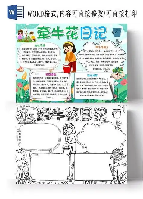 我发现牵牛花手抄报手抄报图片大全