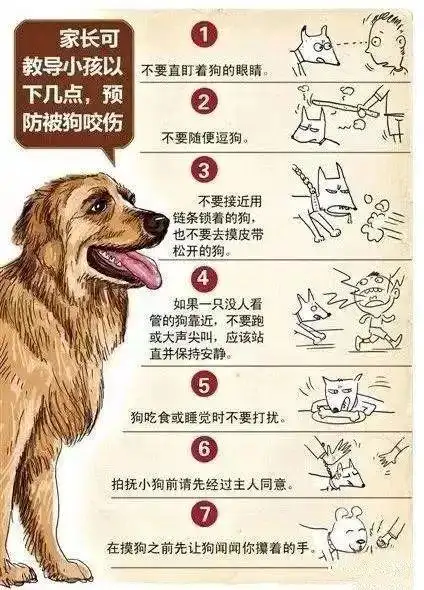 一旦被狗咬伤后做的第一件事:及时处理!