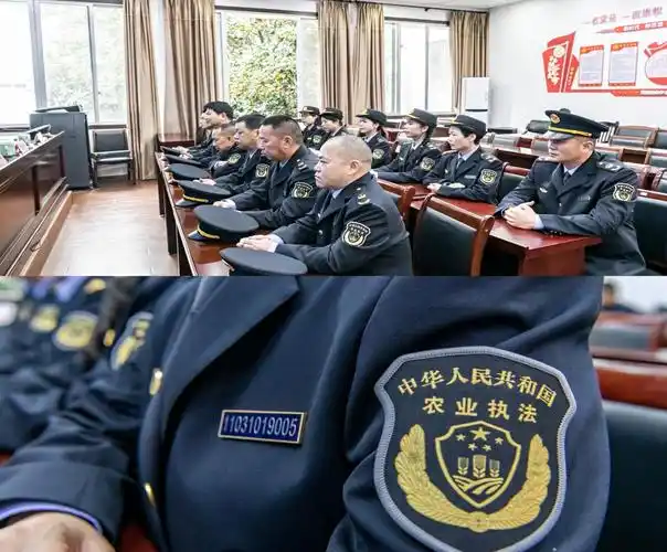 全体执法人员身着新式执法服装进行集体宣誓,展示了泰顺农业执法队伍