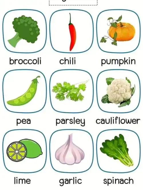 关于水果蔬菜的英语词汇