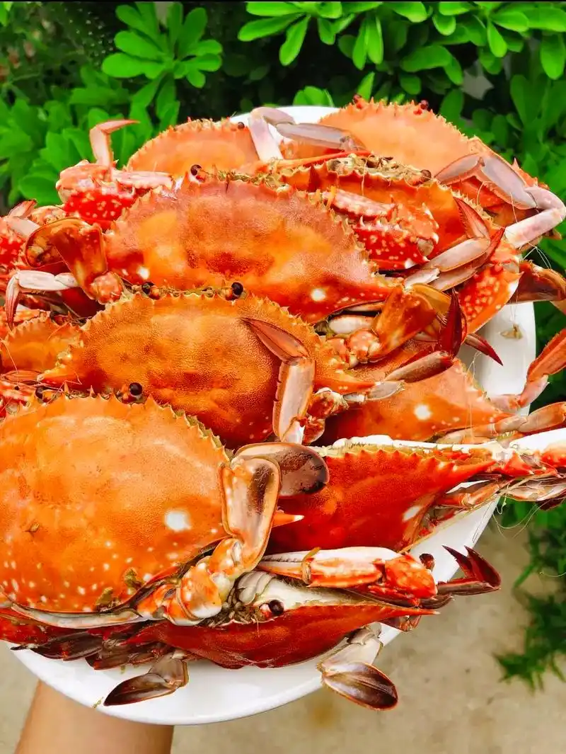 海鲜美食.梭子蟹就要上市了,鲜活的渤海湾野生梭子蟹,爱吃的一 - 抖音