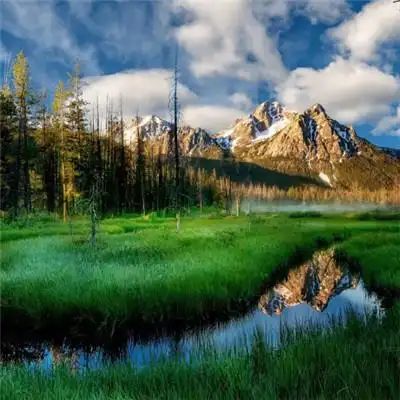 清新淡雅的风景头像清新的自然风景图片