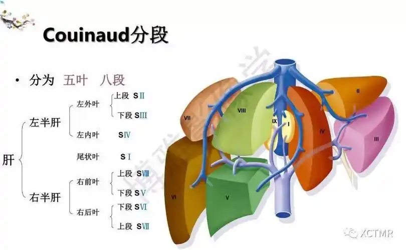 益肝灵胶囊的功效与作用化学性肝损伤如何产生功效与作用对化学性的