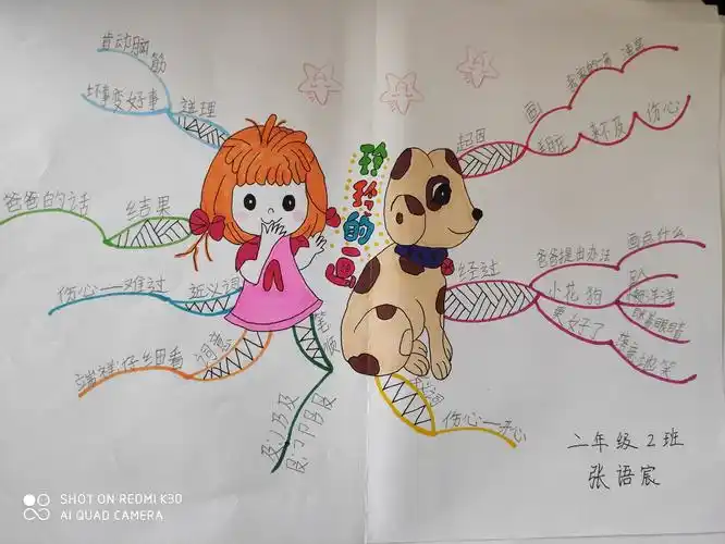《玲玲的画》思维导图