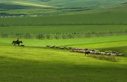 呼伦贝尔大草原(一)