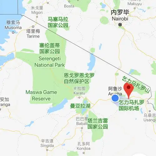 超多图预警!我的非洲大动物园日记