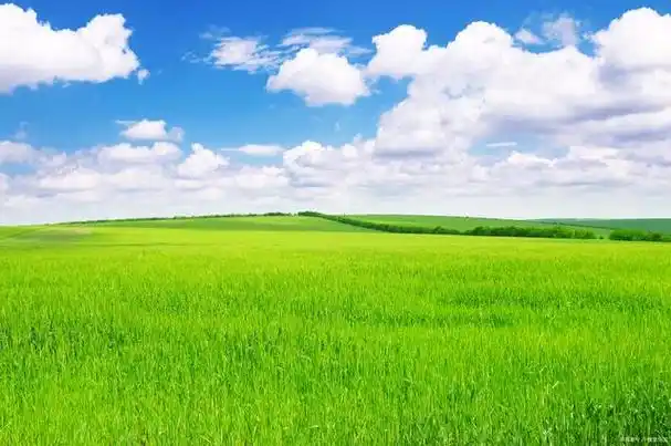 1. 总有一种力量,可以让你充满勇气,自信和希望,那就是阳光.