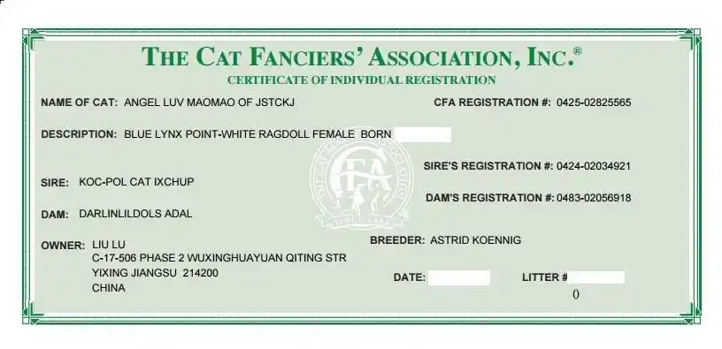 淘宠猫舍种猫cfa证书