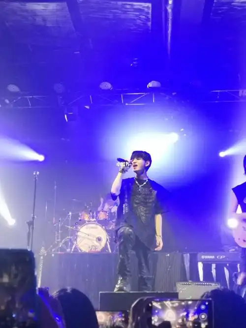 泰山乐队北京站