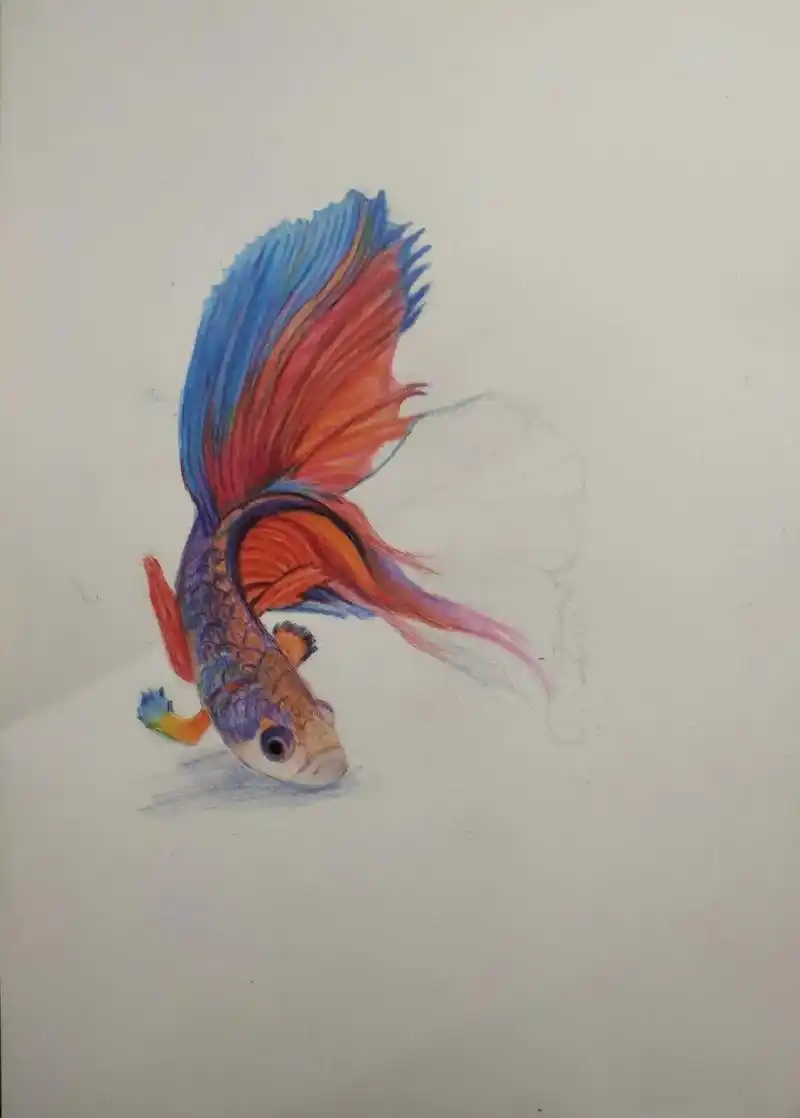 彩铅手绘 #绘画给我的老年生活增添了色彩9494新年里画了 - 抖音