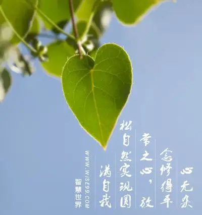 心无杂念修得平常之心放松自然实现圆满自我