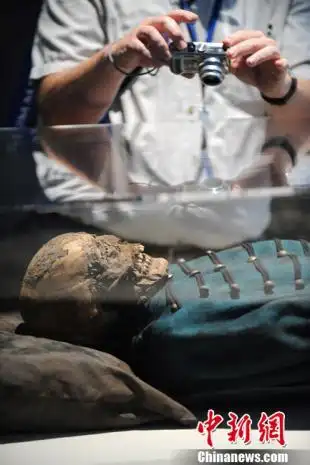 高清组图:全球最大规模木乃伊展举行