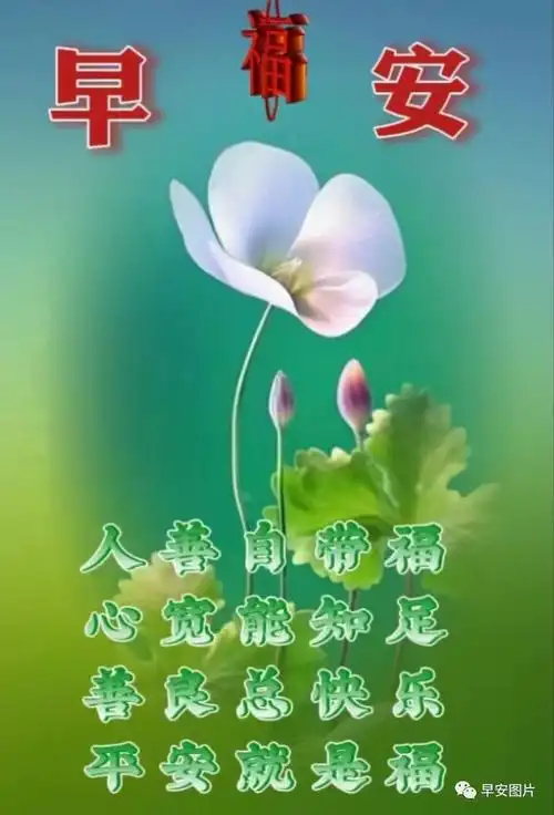 2023年10月30日星期一最新早安漂亮问候图片