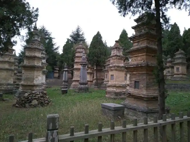 登封市,少林寺塔林