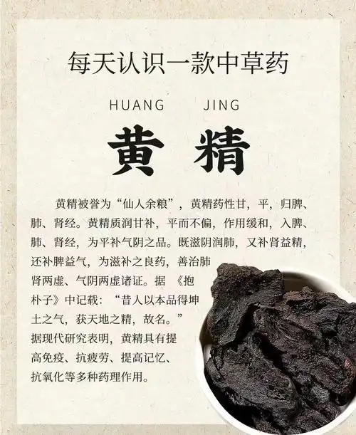 黄精的神奇功效与使用注意事项