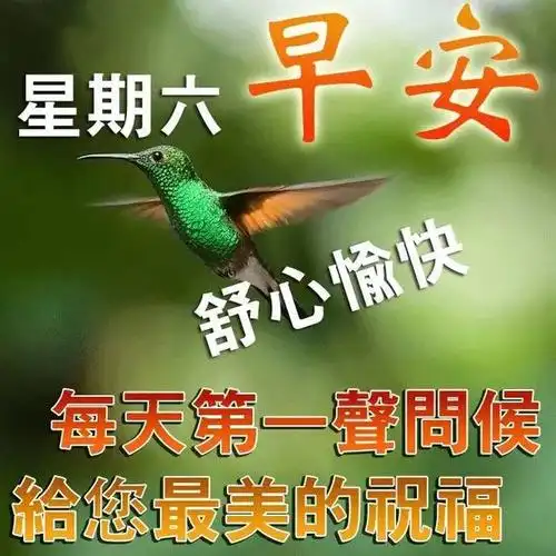 盛夏适合群发早晨好问候语动态图片表情漂亮早上好问候语表情图片