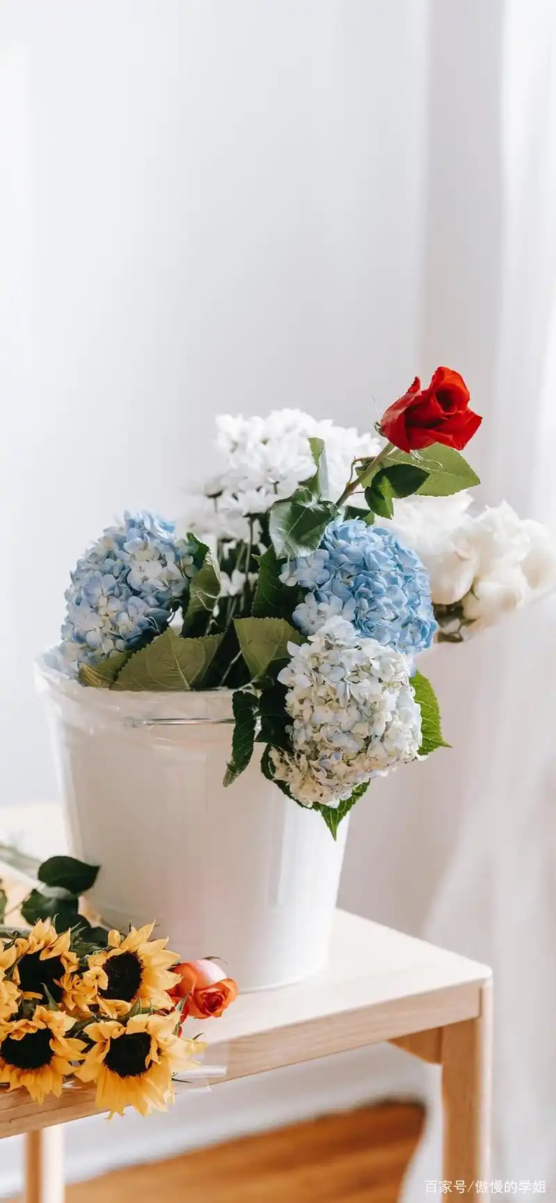 鲜花背景图壁纸