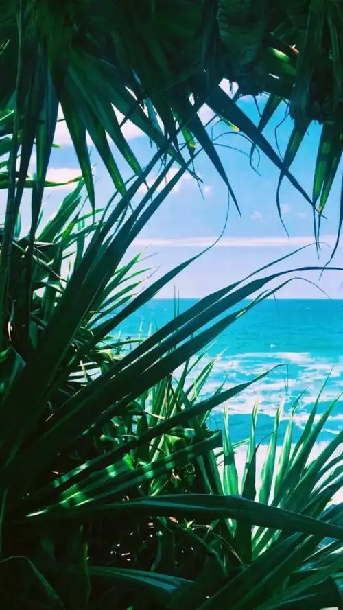 小清新风景壁纸