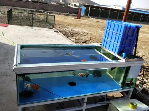室外鱼缸