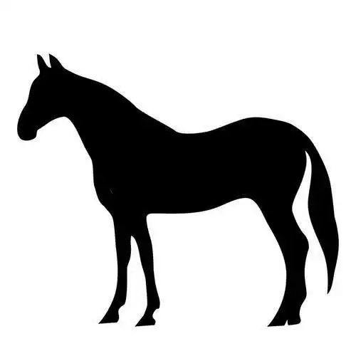 心理学4个动物影子哪个最可爱秒测你是ta的备胎还是真爱