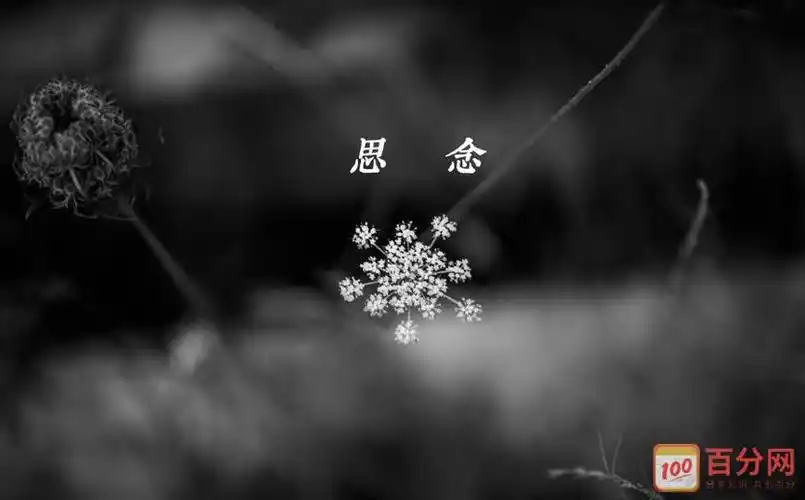 思念一个人的话语句子