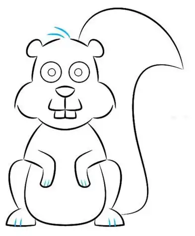 简笔画动物画画教程视频