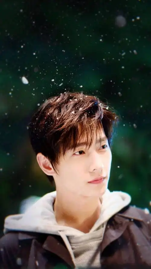 杨洋叶修-堆糖,美好生活研究所