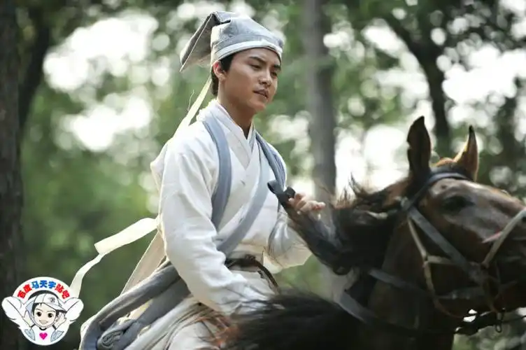 怪侠一枝梅马天宇 饰 贺小梅