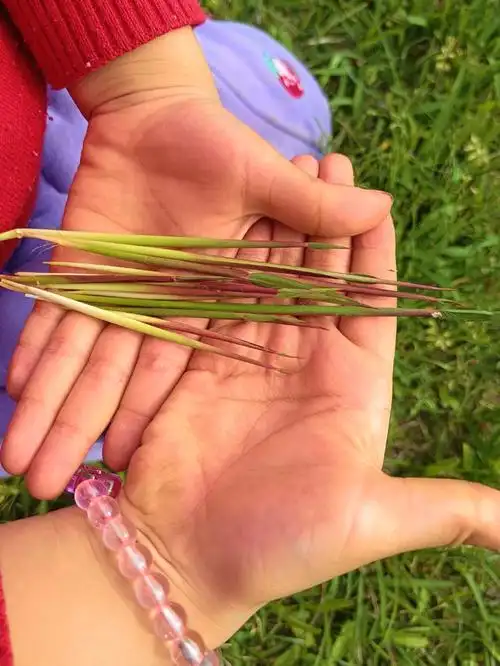 我们这叫毛烟春天的味道