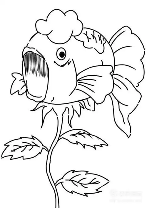 金姬鱼草的简笔画 简笔画图片大全-蒲城教育文学网