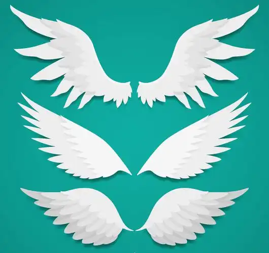 3款白色质感翅膀设计矢量图