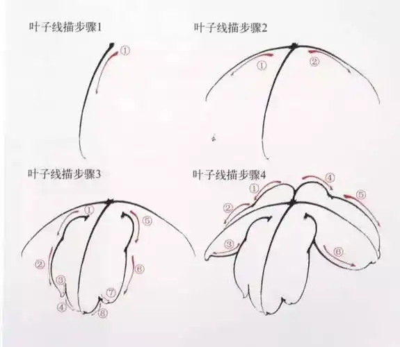 工笔花鸟画用线技巧 | 勾线有什么样的顺序规则?