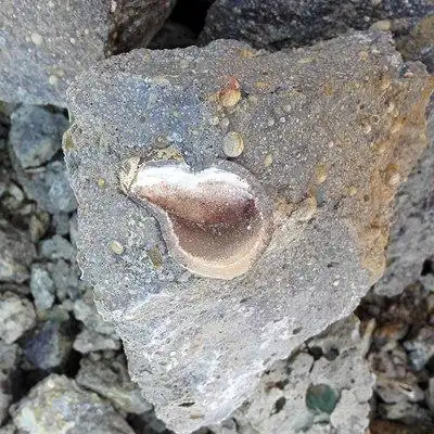 火山岩中的这就是玛瑙,火山爆发时,熔岩中的二氧化硅高温下熔融结晶后