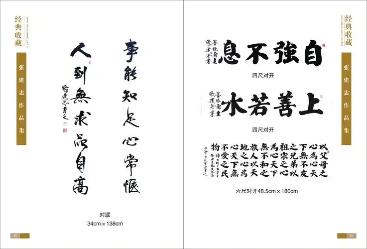 中华提笔第一人墨缘斋主张建忠书法欣赏2