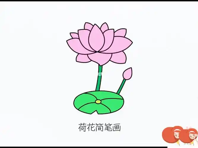 荷花简笔画来喽