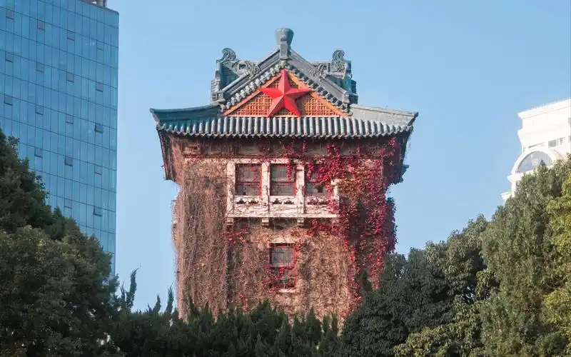 【4k】窃一抹南大的秋 | 南京大学鼓楼校区