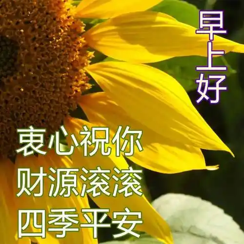 原创8张好看的春天风景图片问候语免打字春日唯美早上好图片带祝福语
