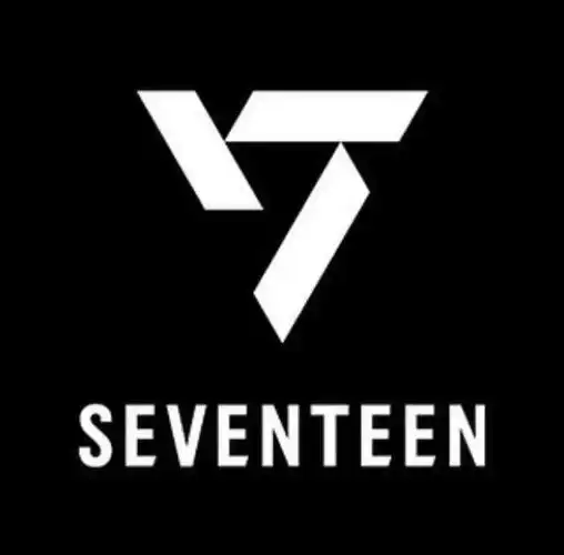看得出来这次用心了啊7415图取自seventeen官方ins#seventeen