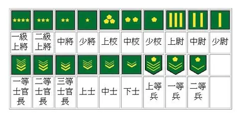 部队军衔简笔画