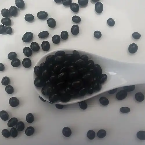 批发优质绿心黑豆 五谷杂粮 八宝粥原料 代工oem500g量大从优