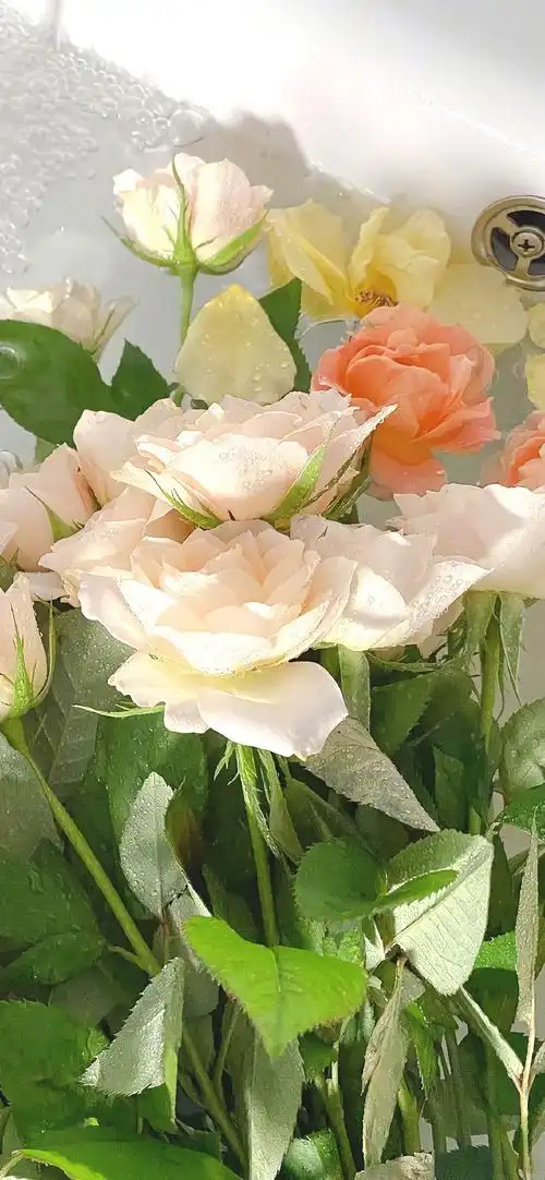 快来领取今天好看的的壁纸吧78