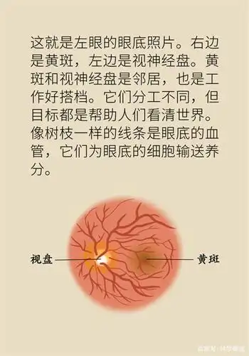 是老眼昏花还是黄斑病变?教你一招识别