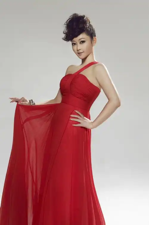 网络歌手《丁酉酉》