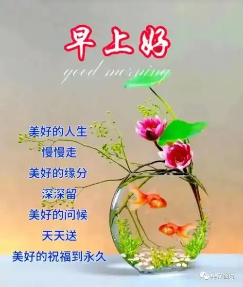 2023年8月22日唯美的早上好祝福图片温馨早安暖心祝福图片问候语温馨