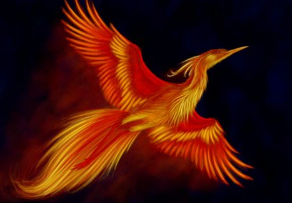 凤凰神族传下10大姓氏,若你是其中之一,也许就不是龙的传人