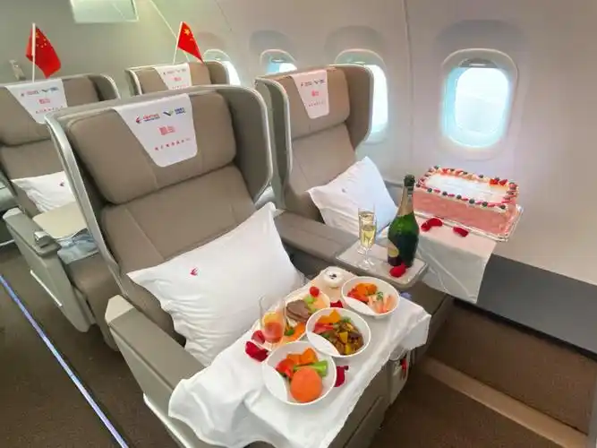 公务舱布局(摄影:王静仪)