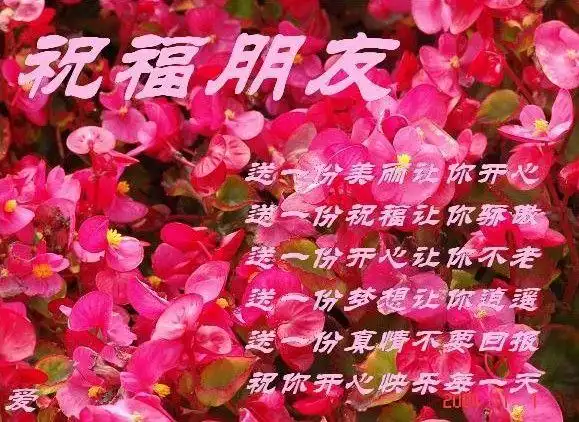 祝福朋友gif嫩gif呆萌gif卡哇伊gif